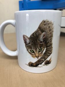 IMG-20250822-WA0006.jpg Thumbnail